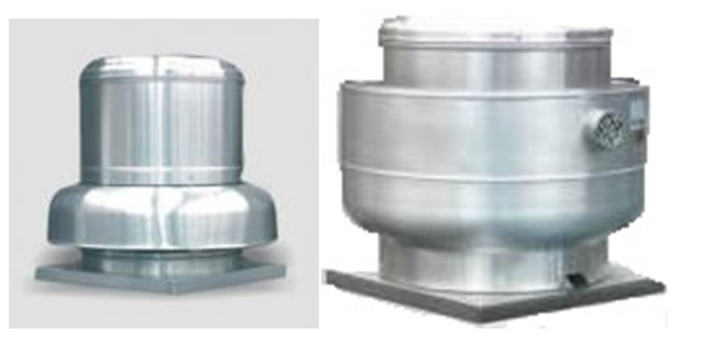 lorem ippsum dolor dummy