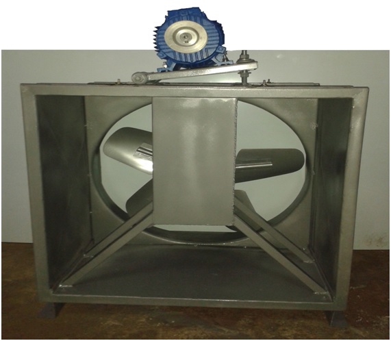 lorem ippsum dolor dummy