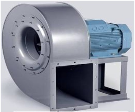 lorem ippsum dolor dummy