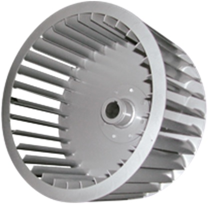 lorem ippsum dolor dummy