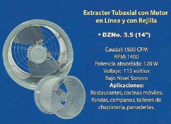 lorem ippsum dolor dummy