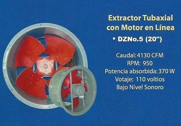 lorem ippsum dolor dummy