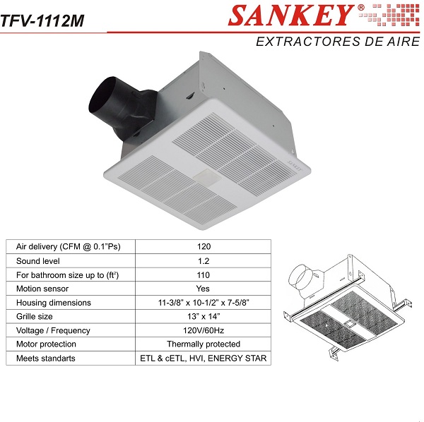 lorem ippsum dolor dummy