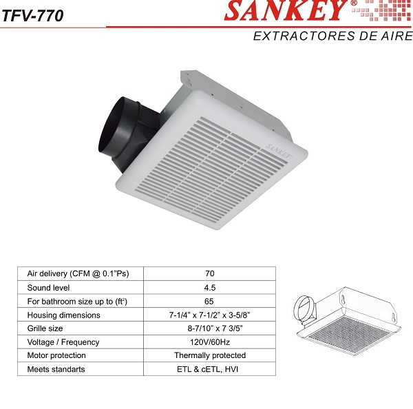 lorem ippsum dolor dummy