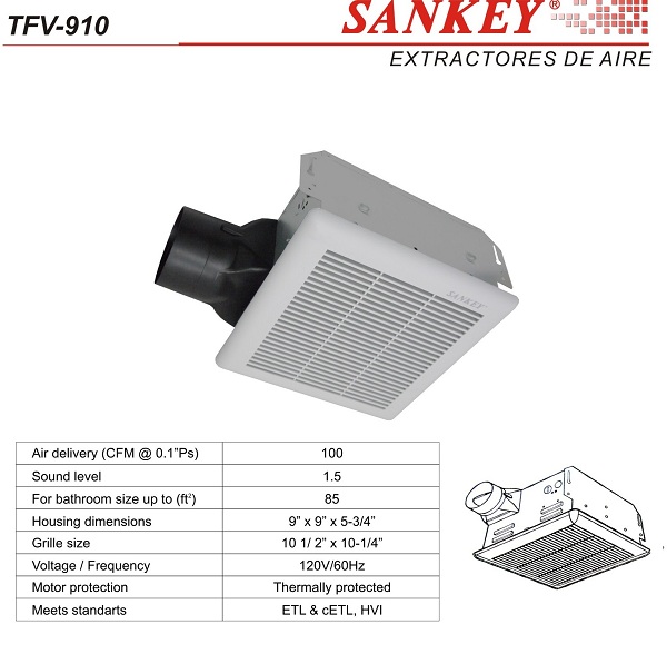 lorem ippsum dolor dummy