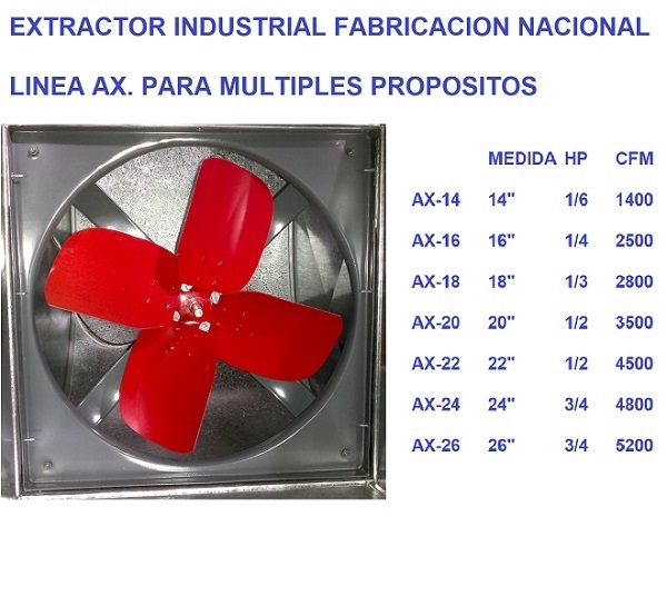 lorem ippsum dolor dummy