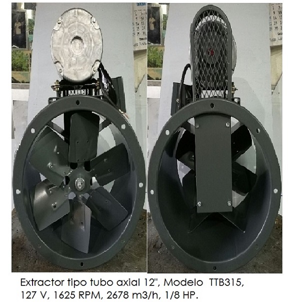 lorem ippsum dolor dummy