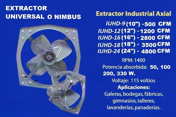 lorem ippsum dolor dummy