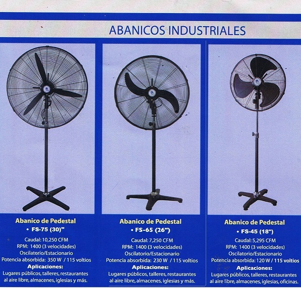 lorem ippsum dolor dummy