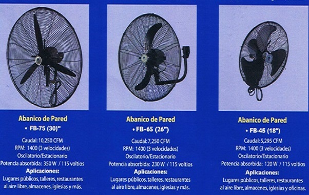 lorem ippsum dolor dummy