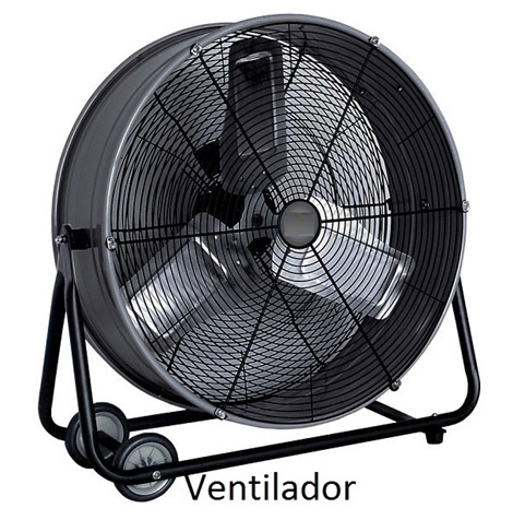 lorem ippsum dolor dummy