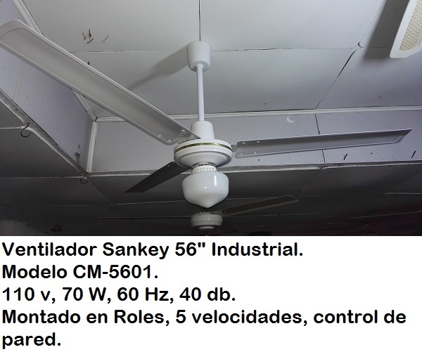 lorem ippsum dolor dummy