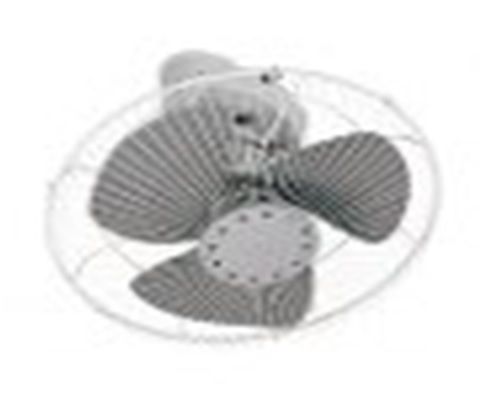 lorem ippsum dolor dummy