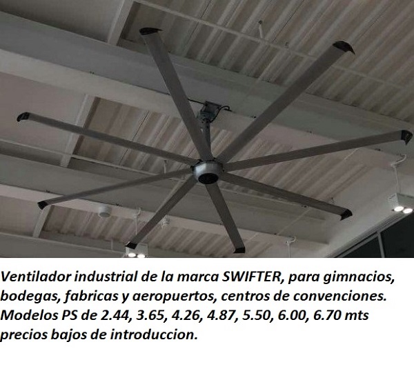 lorem ippsum dolor dummy