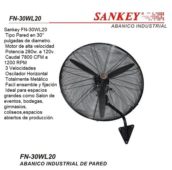 lorem ippsum dolor dummy