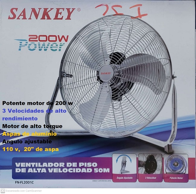 lorem ippsum dolor dummy