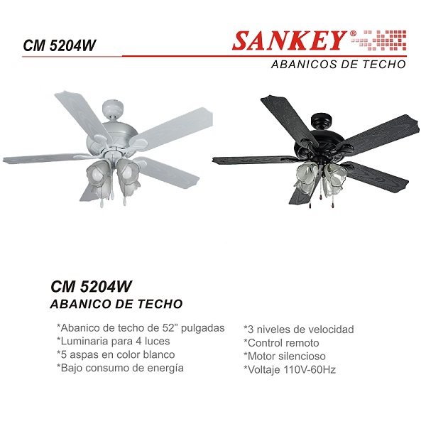 lorem ippsum dolor dummy