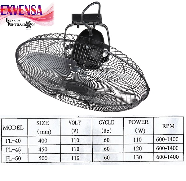 lorem ippsum dolor dummy